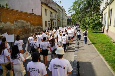 Contabilii din Bihor protestează împotriva haosului din legislația fiscală: Peste 250 de persoane s-au strâns în centrul Oradiei (FOTO/VIDEO)