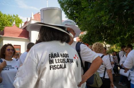 Contabilii din Bihor protestează împotriva haosului din legislația fiscală: Peste 250 de persoane s-au strâns în centrul Oradiei (FOTO/VIDEO)