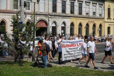 Contabilii din Bihor protestează împotriva haosului din legislația fiscală: Peste 250 de persoane s-au strâns în centrul Oradiei (FOTO/VIDEO)