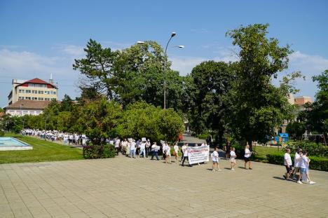 Contabilii din Bihor protestează împotriva haosului din legislația fiscală: Peste 250 de persoane s-au strâns în centrul Oradiei (FOTO/VIDEO)