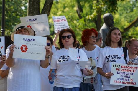 Contabilii din Bihor protestează împotriva haosului din legislația fiscală: Peste 250 de persoane s-au strâns în centrul Oradiei (FOTO/VIDEO)