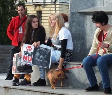 Orădenii iubitori de câini ies în stradă, împotriva eutanasierii maidanezilor