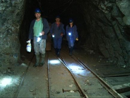 Minerii de la Băiţa au reluat lucrul după numirea unui director general din rândul localnicilor 