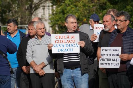 Peste 100 de foști mineri au protestat la Oradea împotriva recalculării pensiilor și l-au huiduit pe subprefectul Emilian Pavel, participant „din partea PSD” (FOTO / VIDEO)