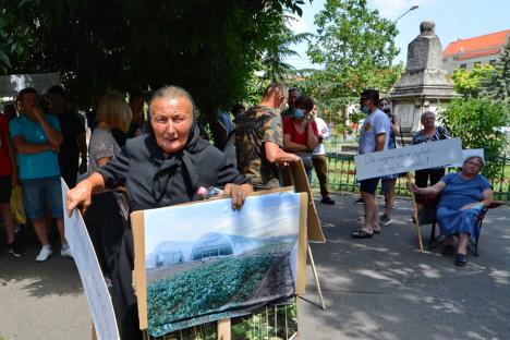 Protest cu roşii, vinete şi ceapă: Sătenii din Tărcaia i-au dus lui Ilie Bolojan un coş cu legume, cerând să nu le fie expropriate serele pentru centura Beiuşului (FOTO / VIDEO)
