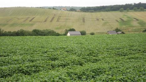 Protest în mirişte: Ce a scris un agricultor din Cluj, în semn de protest, pe parcela sa de pământ