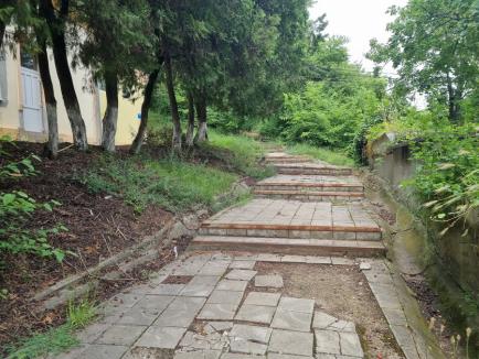 Psihiatrie în paragină: Spitalul de Psihiatrie din Oradea, lăsat cu curțile năpădite de buruieni și aleile sparte (FOTO)