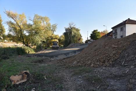 Ecologiştii din Oradea sunt sceptici privind legalitatea lucrărilor pe care ABA le face pe malul Crişului, în zona Decebal (FOTO)