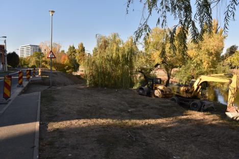 Ecologiştii din Oradea sunt sceptici privind legalitatea lucrărilor pe care ABA le face pe malul Crişului, în zona Decebal (FOTO)