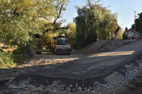 Ecologiştii din Oradea sunt sceptici privind legalitatea lucrărilor pe care ABA le face pe malul Crişului, în zona Decebal (FOTO)