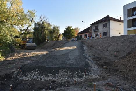 Ecologiştii din Oradea sunt sceptici privind legalitatea lucrărilor pe care ABA le face pe malul Crişului, în zona Decebal (FOTO)