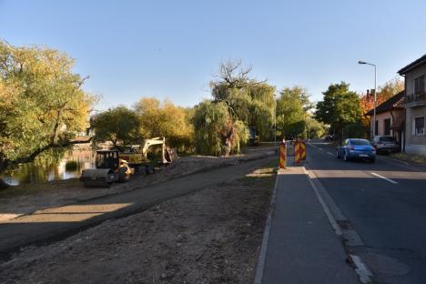 Ecologiştii din Oradea sunt sceptici privind legalitatea lucrărilor pe care ABA le face pe malul Crişului, în zona Decebal (FOTO)