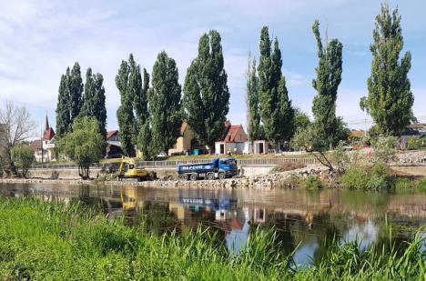 Ecologiştii din Oradea sunt sceptici privind legalitatea lucrărilor pe care ABA le face pe malul Crişului, în zona Decebal (FOTO)