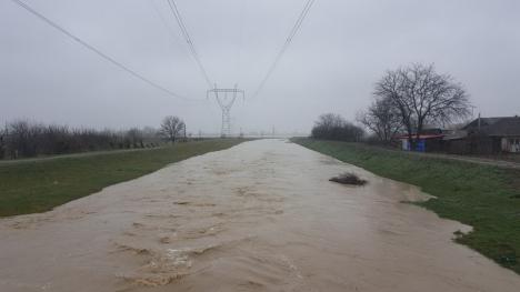 Râurile dau pe-afară: ABA Crişuri a intervenit în Viişoara şi Suplacu de Barcău pentru a scoate apa din gospodării