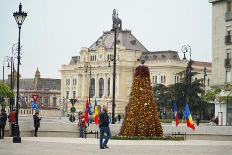 Regina Maria, cu mantie din flori. Mesajul reginei către poporul român, amintit într-o ceremonie în centrul Oradiei (FOTO/VIDEO)