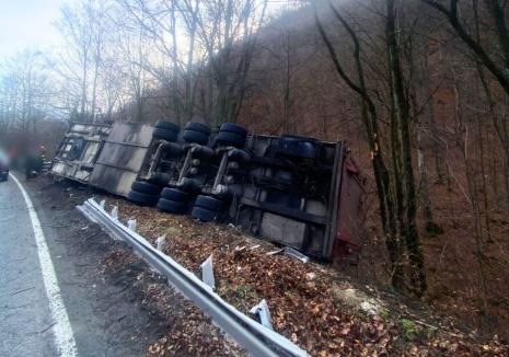 Remorca unui TIR care transporta porci vii s-a răsturnat pe DN1, în Negreni