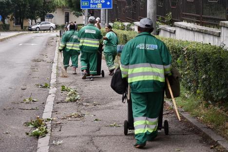 Să fie curățenie! O amplă campanie de salubrizare demarează în Oradea