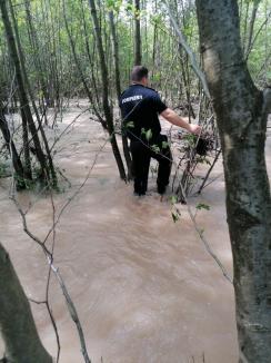 Soluţia ingenioasă găsită de un pompier din Bihor, pentru a repara reţeaua de curent din două sate: Firele au fost cărate cu o dronă! (FOTO / VIDEO)