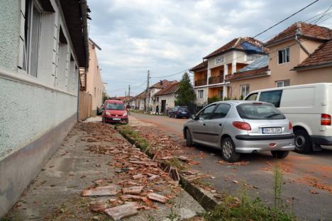 Efectele furtunii în Bihor: Sătenii din Rieni se grăbesc să-şi repare acoperişurile, pădurile au fost puse la pământ (FOTO/VIDEO)