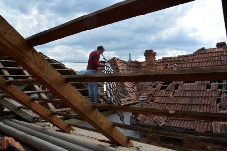 Efectele furtunii în Bihor: Sătenii din Rieni se grăbesc să-şi repare acoperişurile, pădurile au fost puse la pământ (FOTO/VIDEO)