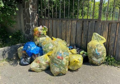 Curățenie à la PSD Bihor: Primarii social-democrați se „fofilează” de la campionatul județean al curățeniei, organizând acțiuni obscure