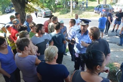Scandal în satul Olosig: Localnicii, revoltați că autoritățile vor să le omoare toți porcii! (FOTO)