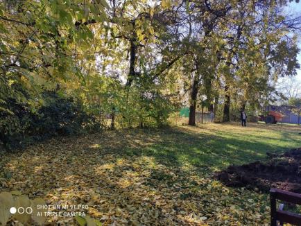 Teren de zgură pentru sportivii de la Tengo Salonta (FOTO)