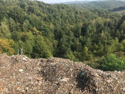 Revoltător! Firma de salubritate a Primăriei Aleşd a abandonat tone de gunoaie în mijlocul naturii, inclusiv într-o arie protejată (FOTO)