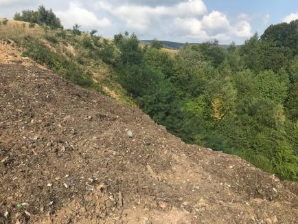 Revoltător! Firma de salubritate a Primăriei Aleşd a abandonat tone de gunoaie în mijlocul naturii, inclusiv într-o arie protejată (FOTO)