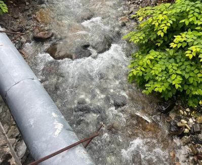 Controale în Bihor vizând salubrizarea cursurilor de apă, șanțurilor și rigolelor: mai puține gunoaie decât în anii trecuți (FOTO)