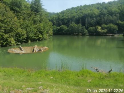 Gunoaie pe malurile cursurilor de apă, în șanțuri și rigole găsite în 12 comune din Bihor. Totuși, e mai curat decât în anii trecuți, zice prefectul (FOTO)