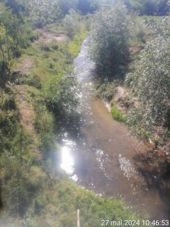 Gunoaie pe malurile cursurilor de apă, în șanțuri și rigole găsite în 12 comune din Bihor. Totuși, e mai curat decât în anii trecuți, zice prefectul (FOTO)