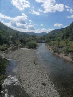 Gunoaie pe malurile cursurilor de apă, în șanțuri și rigole găsite în 12 comune din Bihor. Totuși, e mai curat decât în anii trecuți, zice prefectul (FOTO)