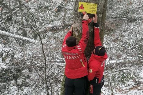 Copil cu fractură de tibie, salvat de salvamontiştii bihoreni în Vârtop. Atenție, zăpada nu este bună pentru săniuş! (FOTO)