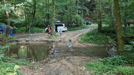 Copilul dispărut din campingul de la Pădurea Neagră a fost găsit! (FOTO/VIDEO)