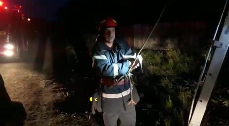 Pui de barză căzut din cuib, salvat de pompierii bihoreni (FOTO / VIDEO)