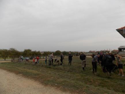 Peste 100 de voluntari, majoritatea localnici în Sîntandrei, au plantat o perdea verde în jurul unei ferme de vaci (FOTO)