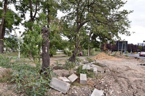 S-a făcut, dar s-a distrus! Șantierele dăunează grav spațiilor publice: multe zone verzi din Oradea au fost compromise de săpături (FOTO)