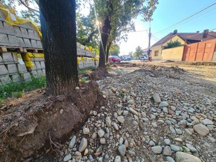 S-a făcut, dar s-a distrus! Șantierele dăunează grav spațiilor publice: multe zone verzi din Oradea au fost compromise de săpături (FOTO)