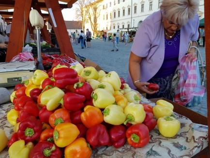 Sărbătoarea Recoltei: Ce bunătăţi sunt în Cetatea Oradea şi de ce a plecat un floricultor bihorean supărat acasă (FOTO)