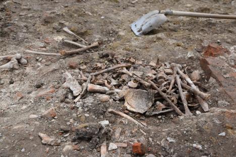 Cimitir medieval, scos la iveală de săpăturile arheologice din centrul Oradiei. Vezi IMAGINI!