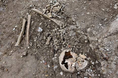 Cimitir medieval, scos la iveală de săpăturile arheologice din centrul Oradiei. Vezi IMAGINI!