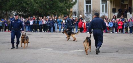 Jandarmeria în sărbătoare: Exerciţii demonstrative şi paradă militară, pentru orădeni, în Parcul 1 Decembrie