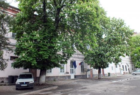 Modificări în reţeaua şcolară din Oradea: 9 clase de la Şcoala Bălcescu se mută pe strada Cuza Vodă, se fac comasări de grădiniţe