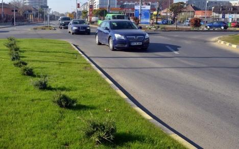 RER Ecologic Service şi Adenandra vor întreţine spaţiile verzi din Oradea în următorii trei ani