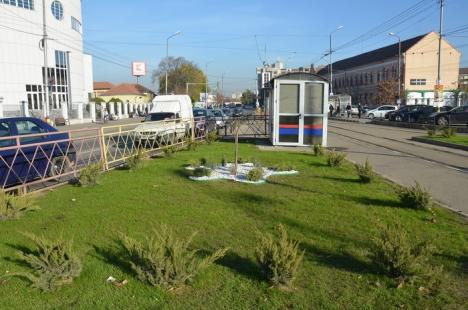 RER Ecologic Service a terminat lucrările la scuarul de lângă Emanuel (FOTO)