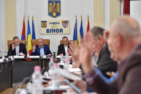 Surpriză: PSD-iștii din CJ Bihor au votat Inelul Rutier Metropolitan Oradea cot la cot cu colegii din UDMR, chiar dacă noul proiect implică exproprieri mai mari (FOTO/VIDEO)