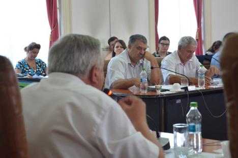 Şefii PSD, UDMR şi ALDE din Consiliul Judeţean şi-au 'premiat' primarii: 'Banii se împart prin vot politic' (FOTO)