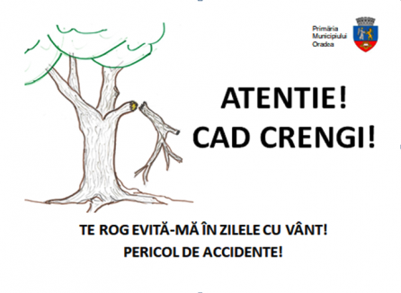 Atenție la copaci! Arborii periculoși din Oradea vor fi semnalizați