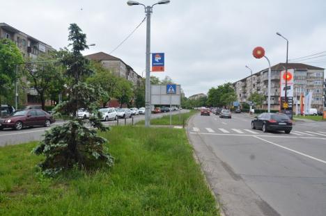 Ocoliţi! Circulaţia prin intersecția Calea Aradului - Oneştilor, deviată până în iulie de lucrările la linia de tramvai! (FOTO)